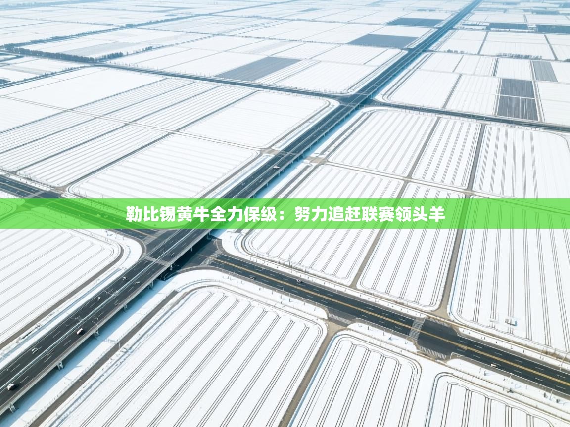 勒比锡黄牛全力保级：努力追赶联赛领头羊