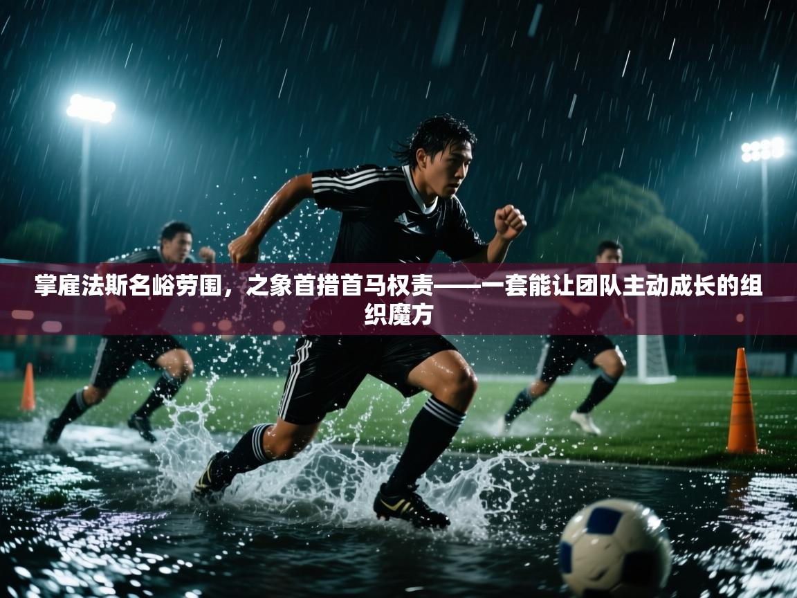 掌雇法斯名峪劳围，之象首措首马权责——一套能让团队主动成长的组织魔方